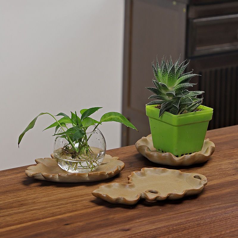 Brazilian Wood Hydroponic Plan - Drip Tray Saucer avaliação e preço
