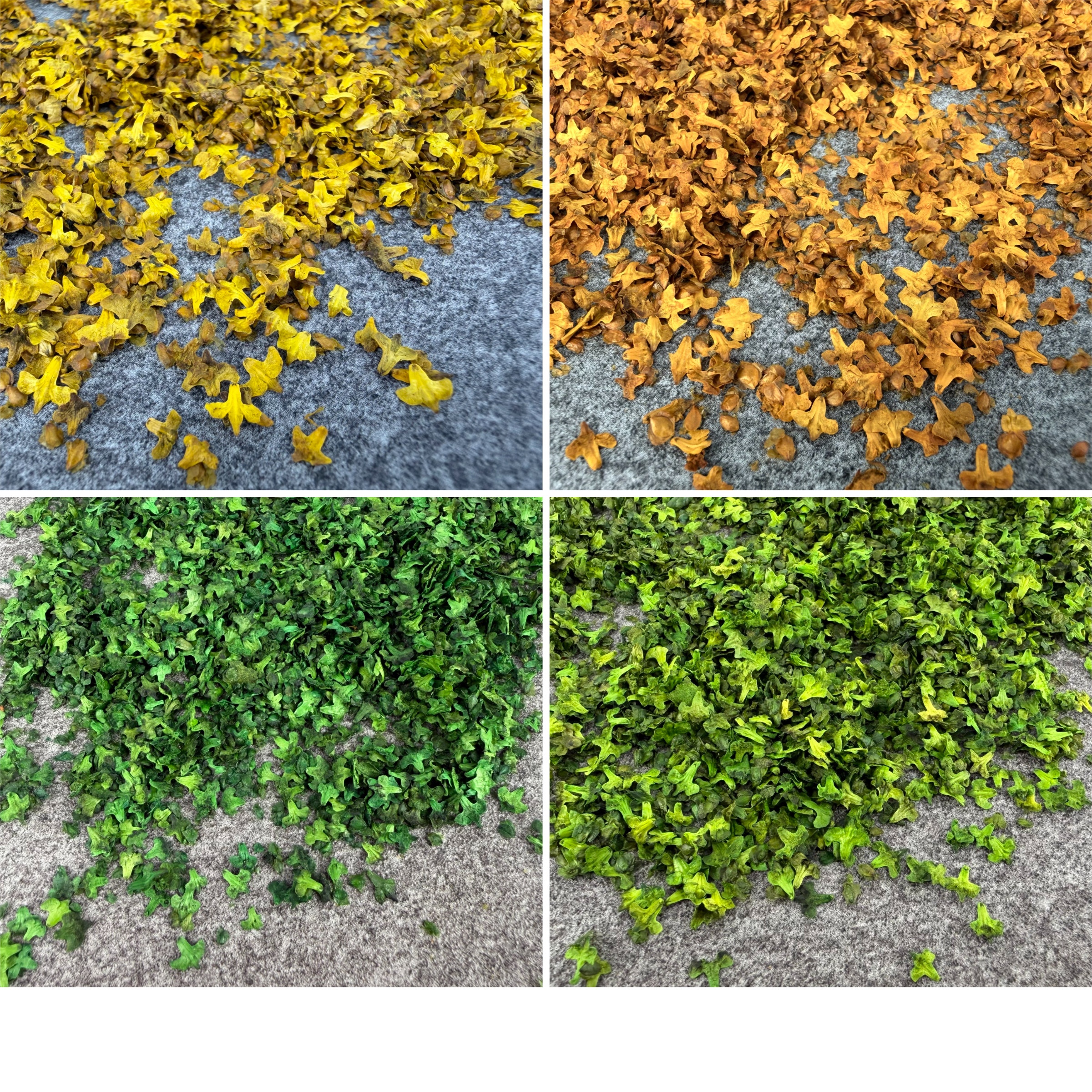 33ML Miniature Simulation Fall - Bonsai Garden Layout avaliação e preço