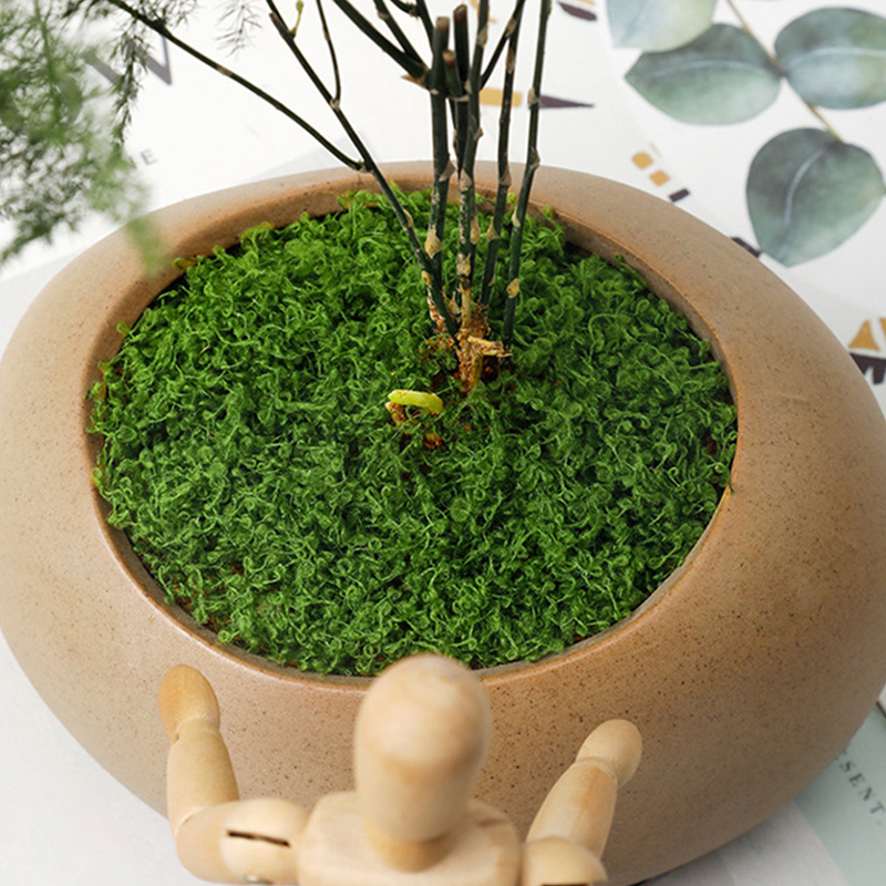 20g/0.7oz Artificial Garden Fa - Landscape Bonsai Garden avaliação e preço