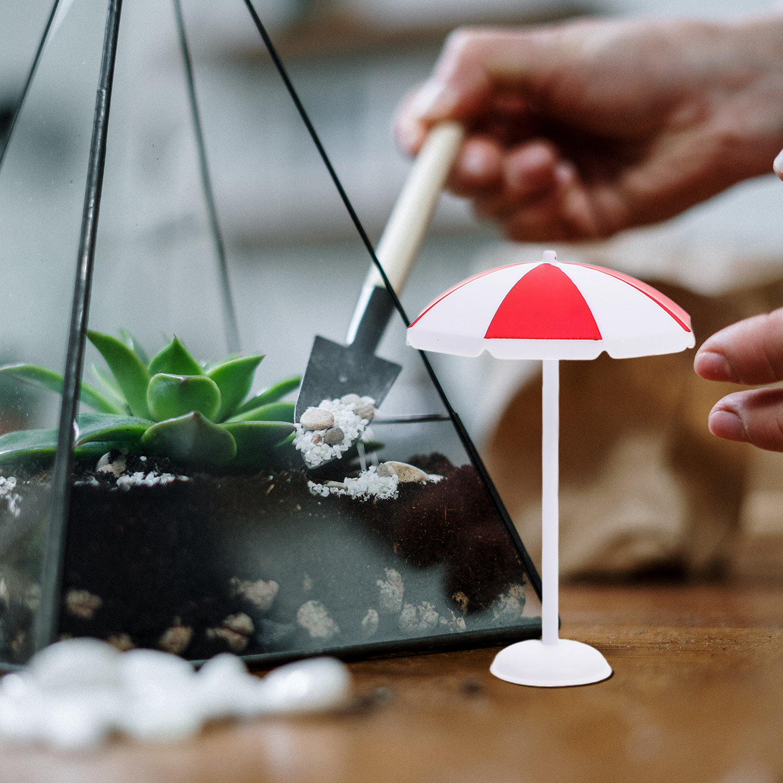 6Pcs Miniature Beach Umbrella  - Landscape Bonsai Garden avaliação e preço