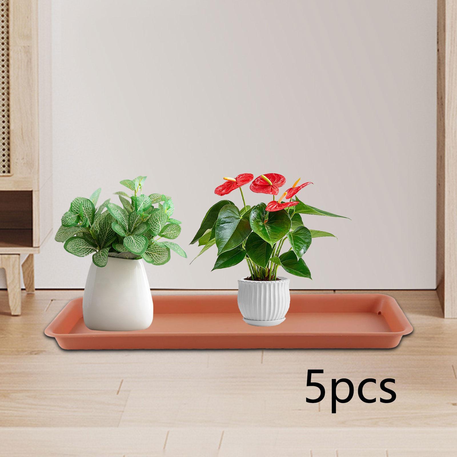 High Flower Pot for the Terrac - Drip Tray Saucer avaliação e preço