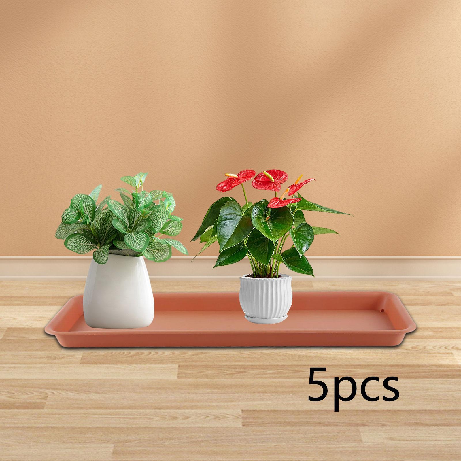 High Flower Pot for the Terrac - Drip Tray Saucer avaliação e preço