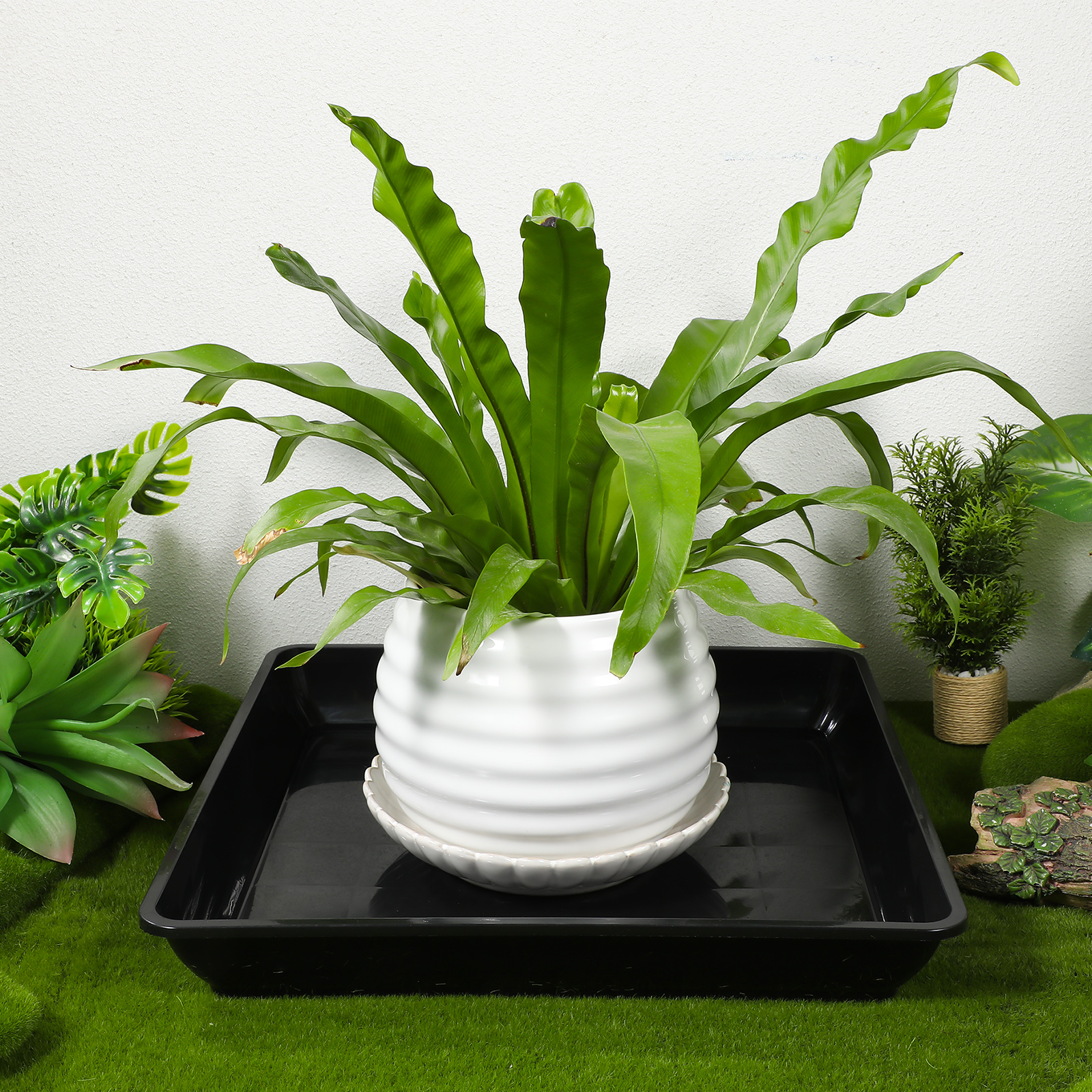 2pcs Flowerpot Saucer Plant Tr - Drip Tray Saucer avaliação e preço