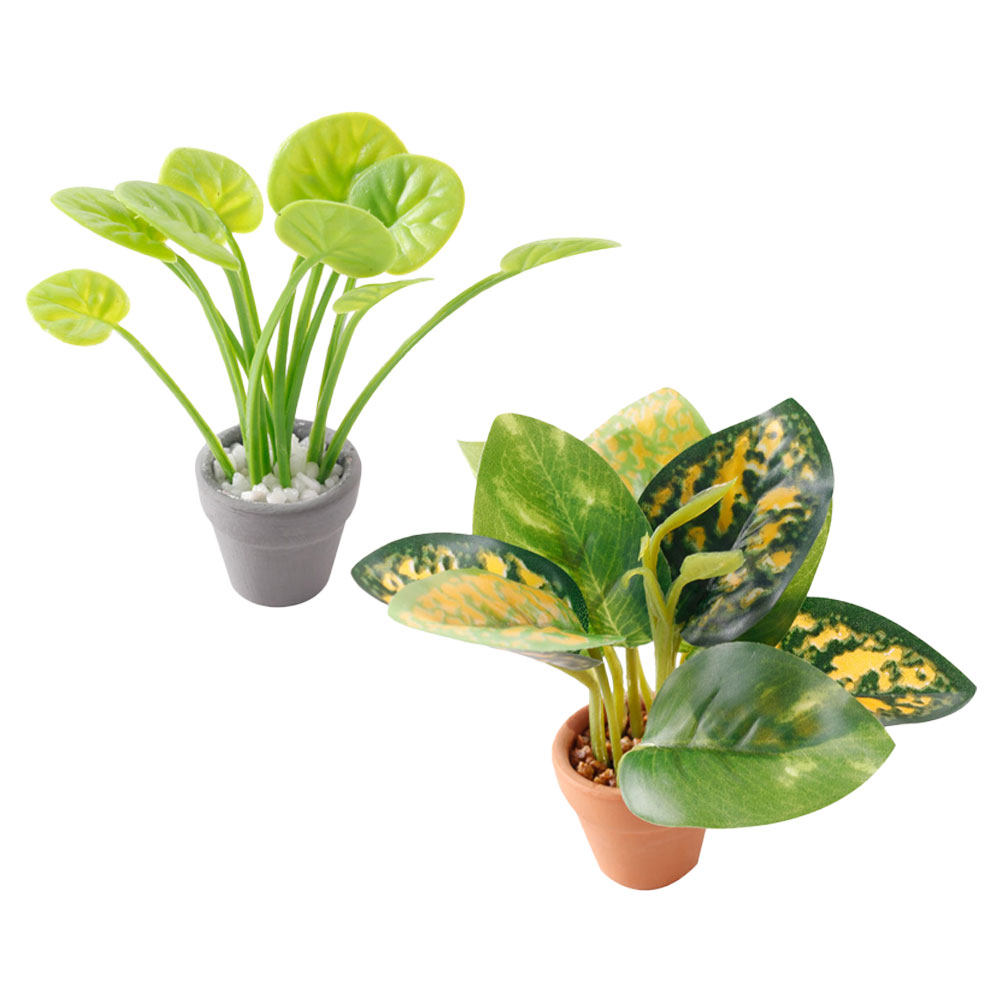 2Pcs Exquisite Miniature Bonsa - Bonsai Garden For Desk avaliação e preço