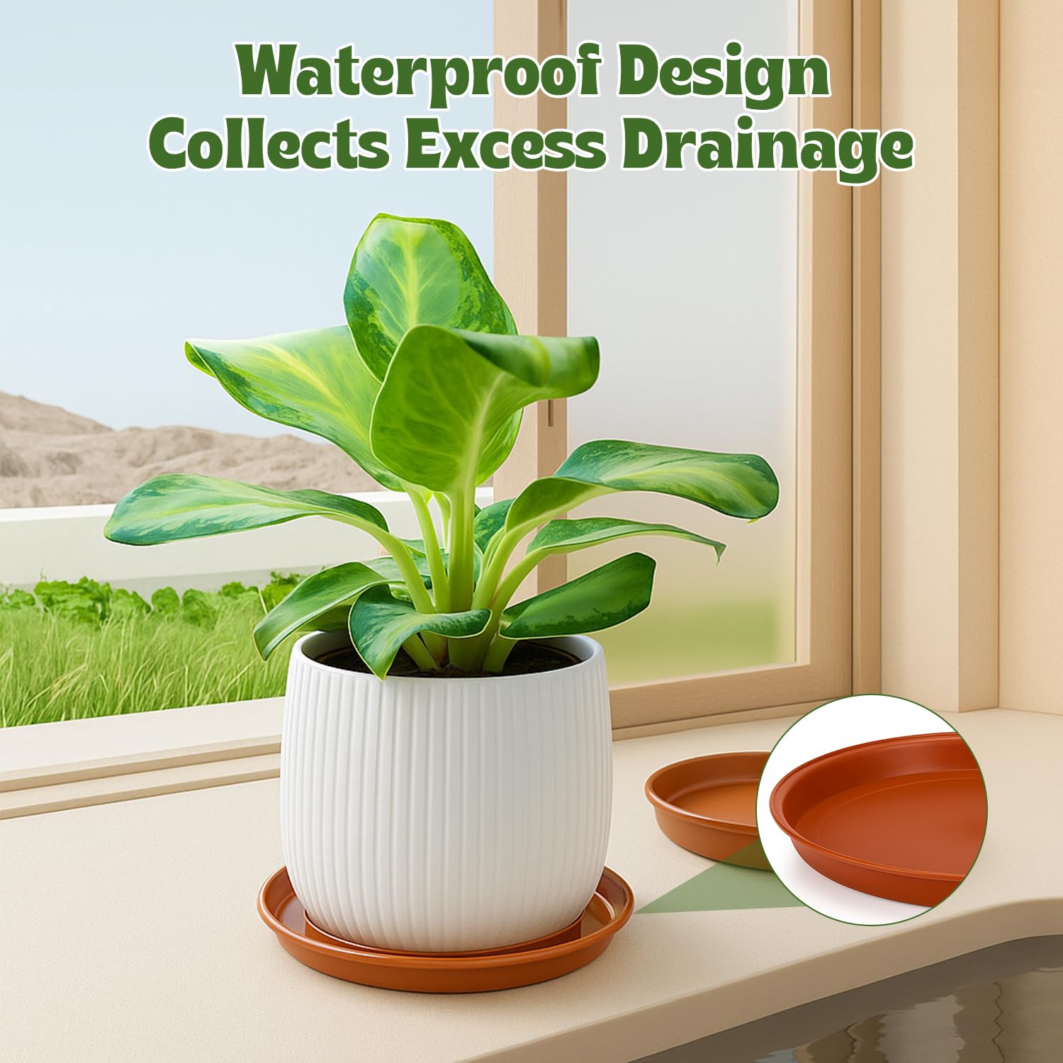12 Pack Plant Pot Saucers – 4  - Drip Tray Saucer avaliação e preço
