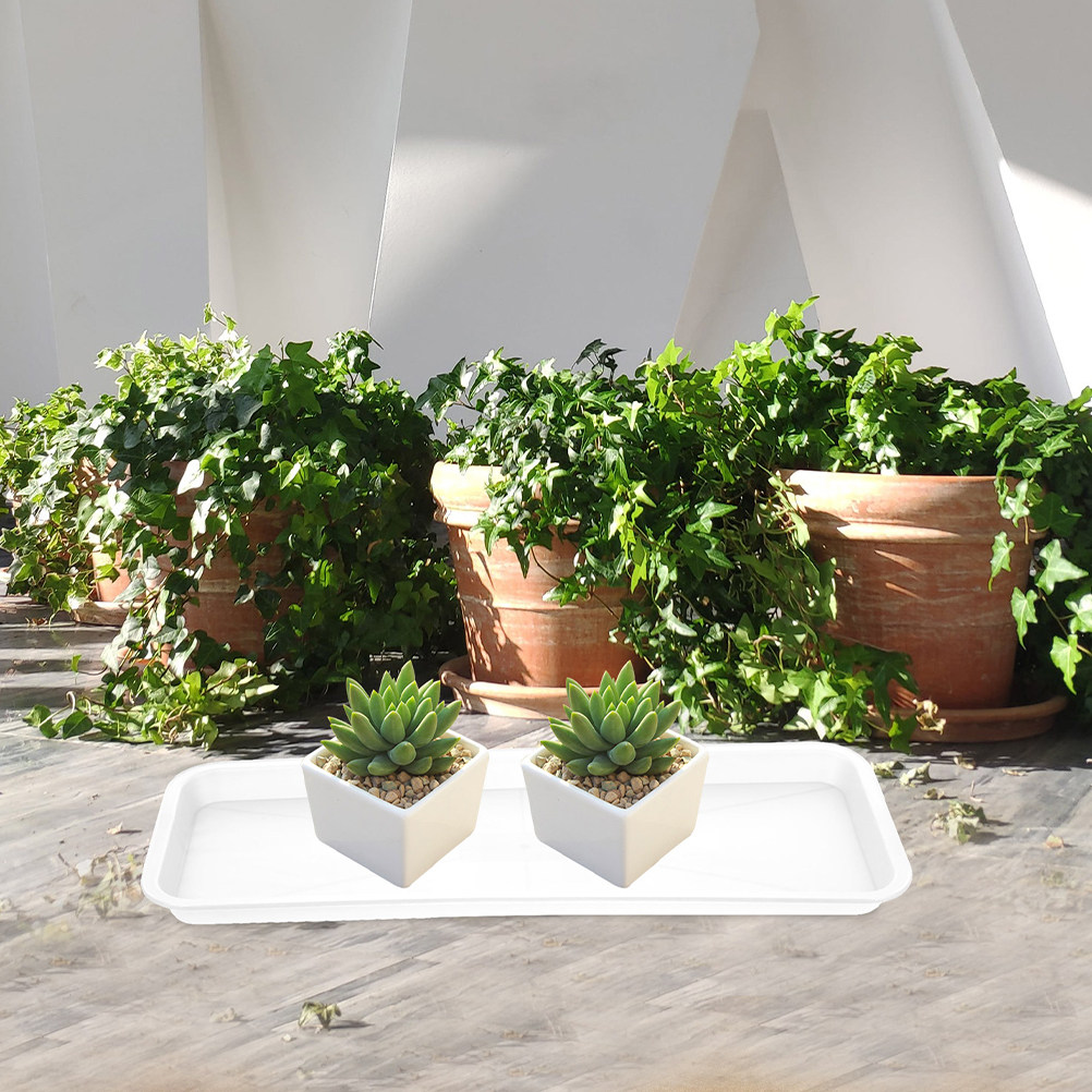 5Pcs Rectangular Shallow Plant - Drip Tray Saucer avaliação e preço