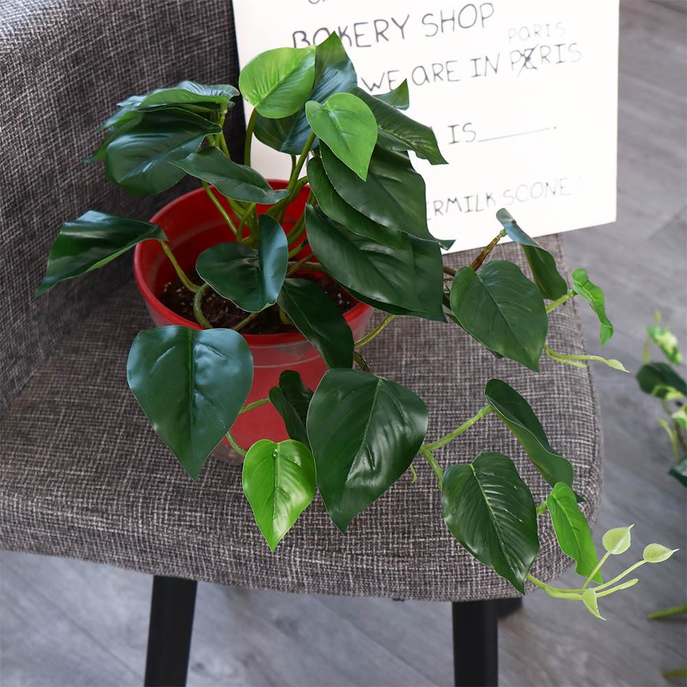 Tropical Nordic Desk Office Ga - Bonsai Garden For Desk avaliação e preço