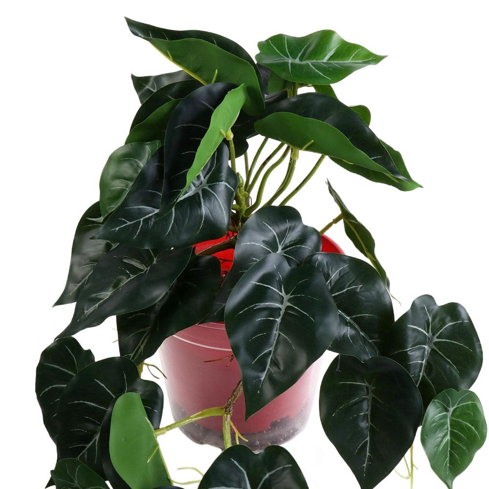 Tropical Nordic Desk Office Ga - Bonsai Garden For Desk avaliação e preço