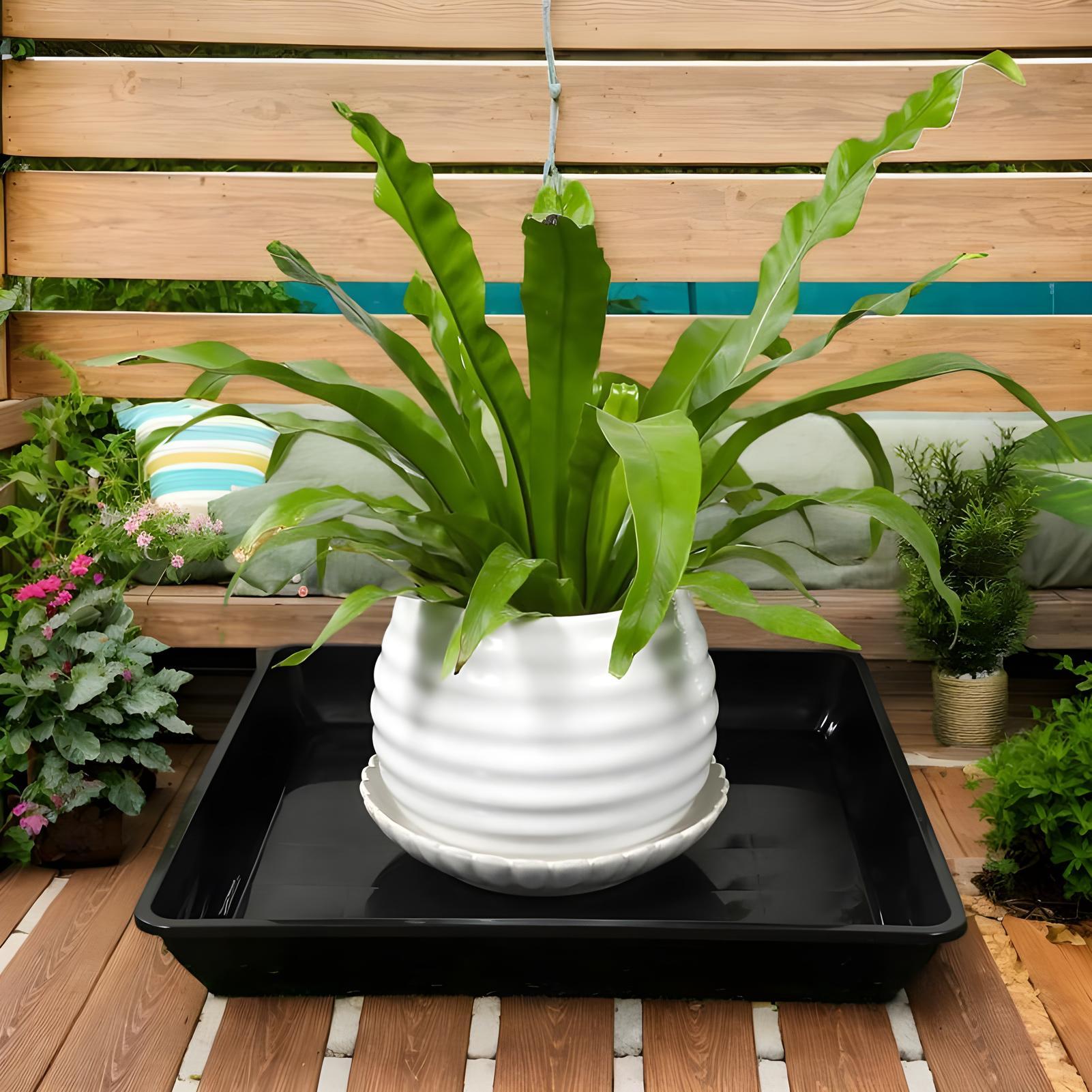 Flower Pot Trays 2 Pieces Plan - Drip Tray Saucer avaliação e preço