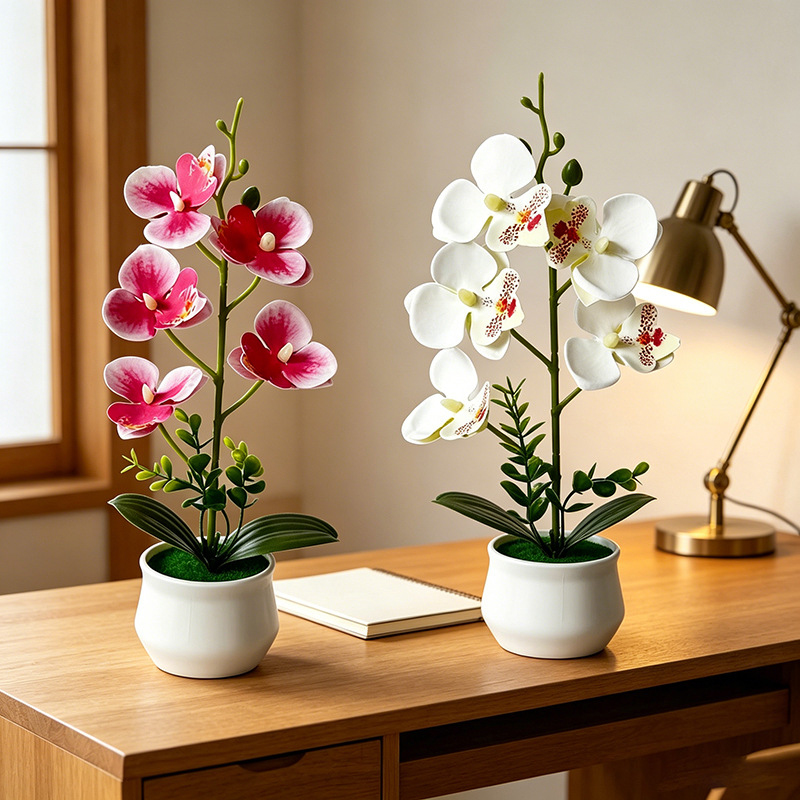 5 Flower Butterfly Orchid Simu - Bonsai Garden Layout avaliação e preço