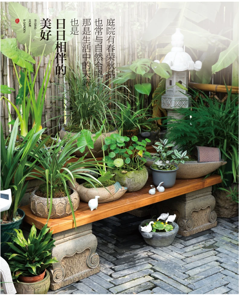 Terrace Garden Layout, Teak Ch - Bonsai Garden Layout avaliação e preço