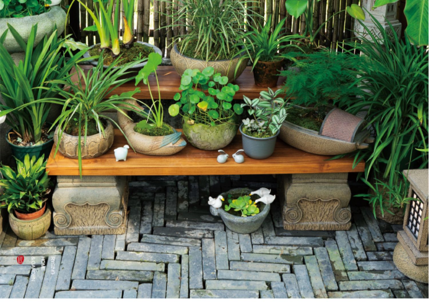 Terrace Garden Layout, Teak Ch - Bonsai Garden Layout avaliação e preço