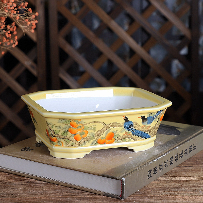 Porcelain Rectangle Bonsai Pot - Bonsai Garden For Desk avaliação e preço
