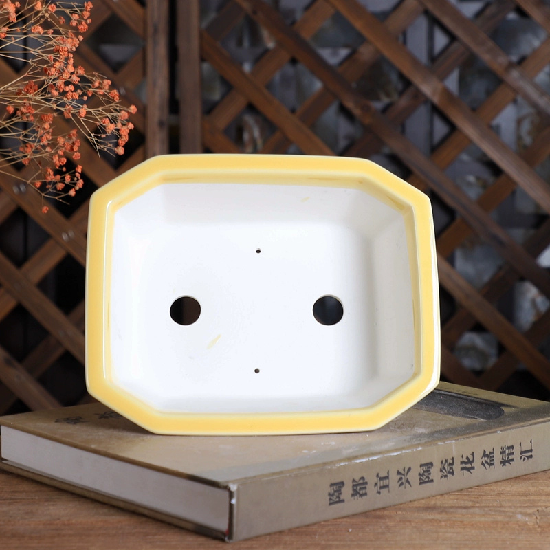 Porcelain Rectangle Bonsai Pot - Bonsai Garden For Desk avaliação e preço
