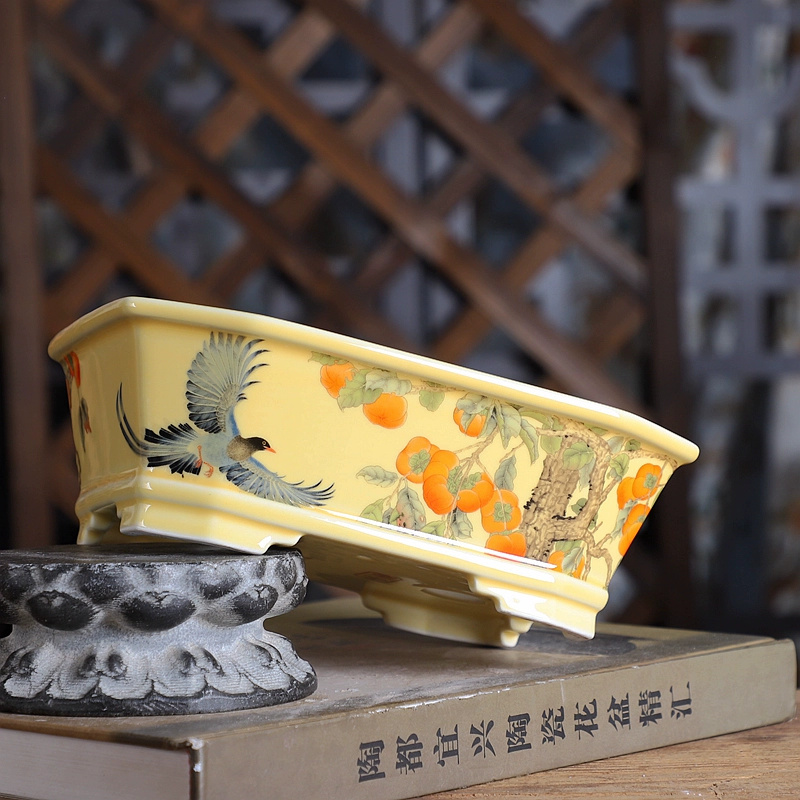 Porcelain Rectangle Bonsai Pot - Bonsai Garden For Desk avaliação e preço