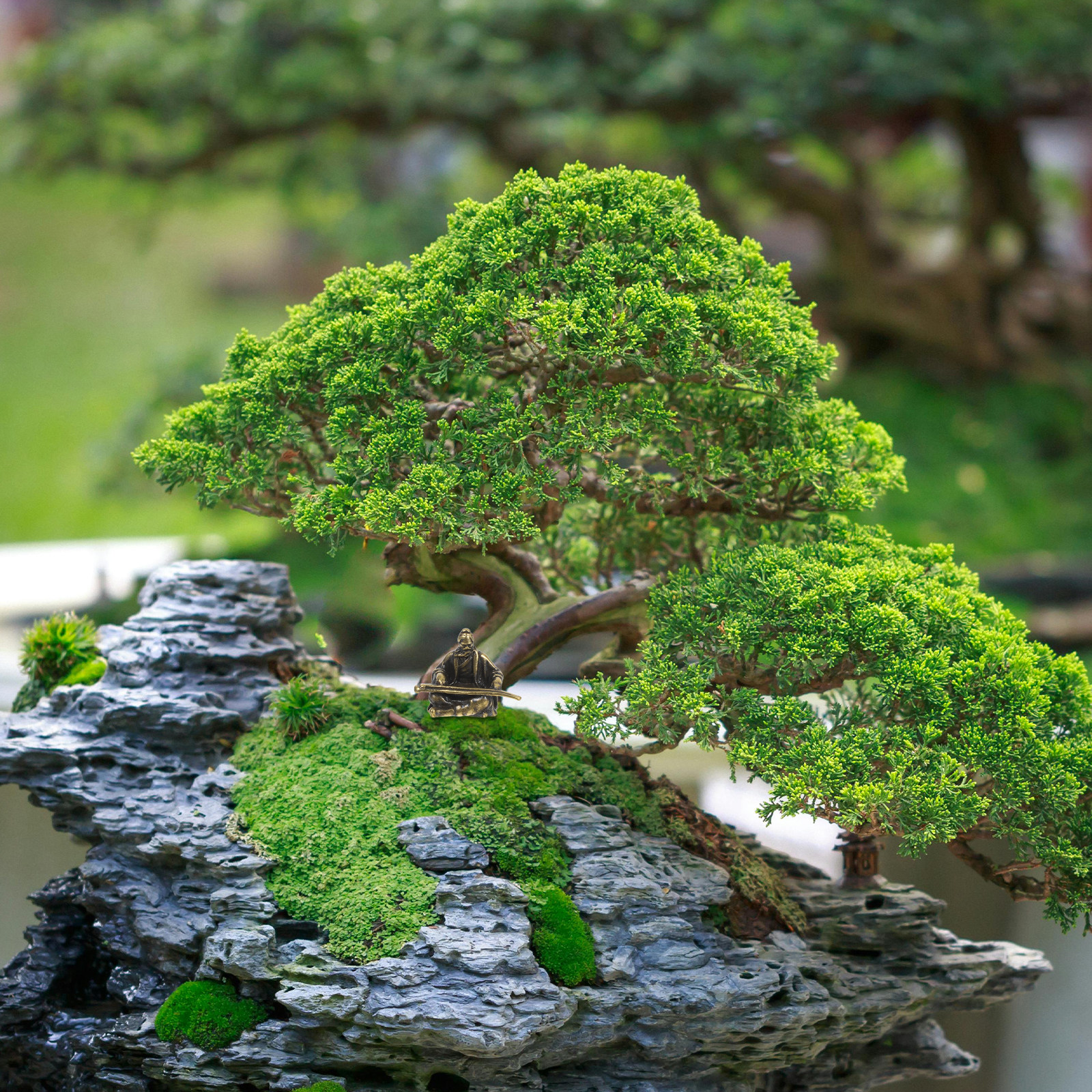 Copper Micro Landscape Ancient - Bonsai Garden Layout avaliação e preço