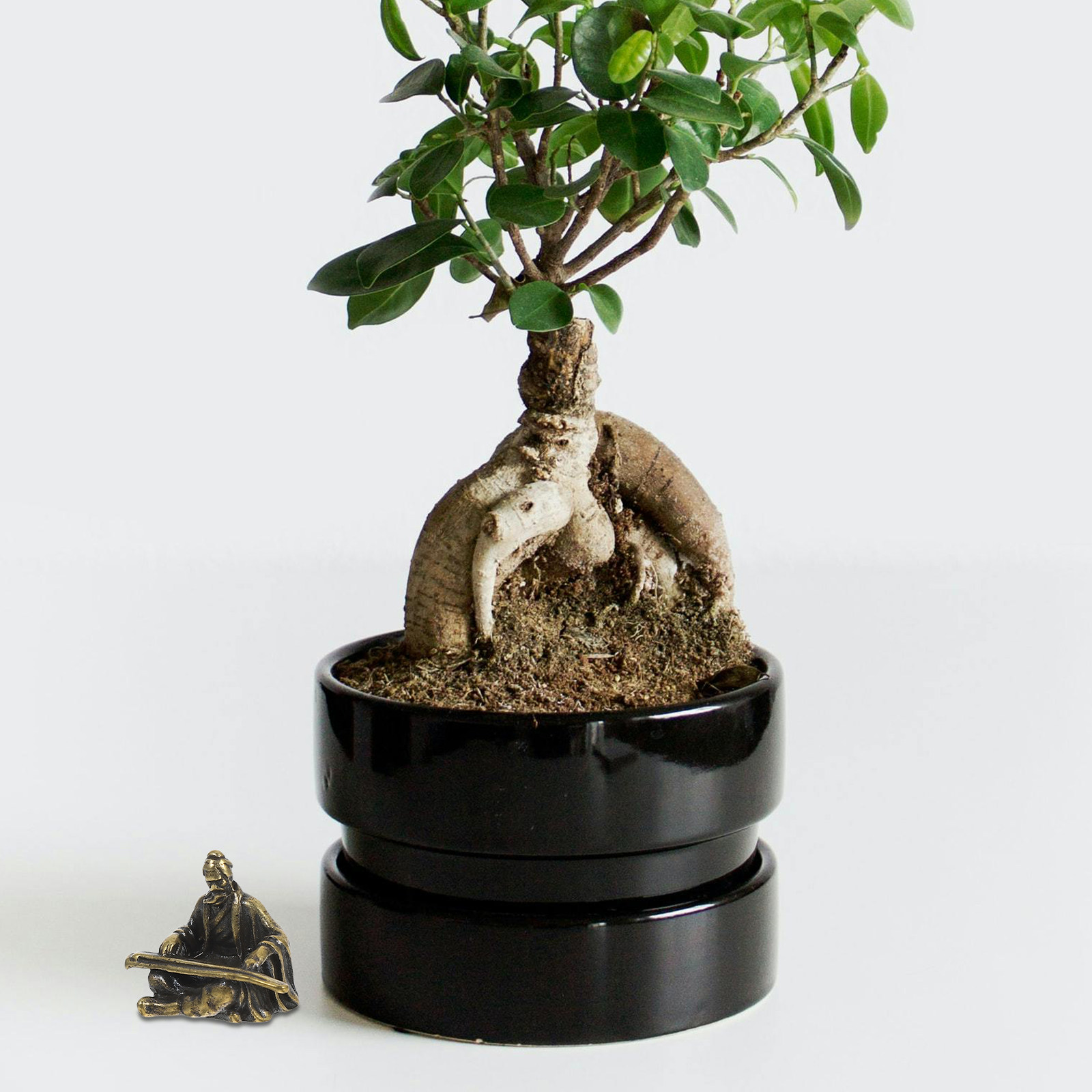Copper Micro Landscape Ancient - Bonsai Garden Layout avaliação e preço