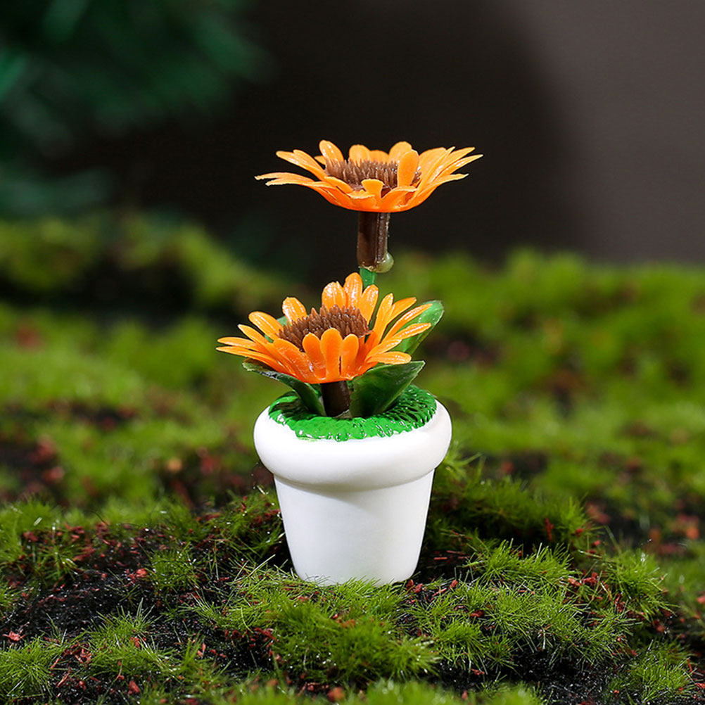 4Pcs Miniature Bonsai Plant Do - Bonsai Garden Layout avaliação e preço
