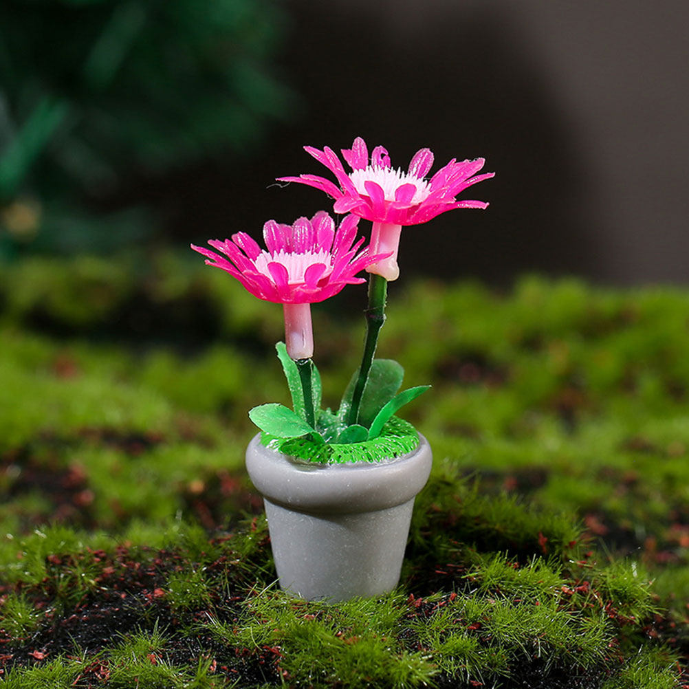 4Pcs Miniature Bonsai Plant Do - Bonsai Garden Layout avaliação e preço