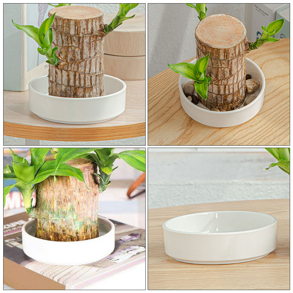 Ceramic Plant Drainage Tray He - Drip Tray Saucer avaliação e preço
