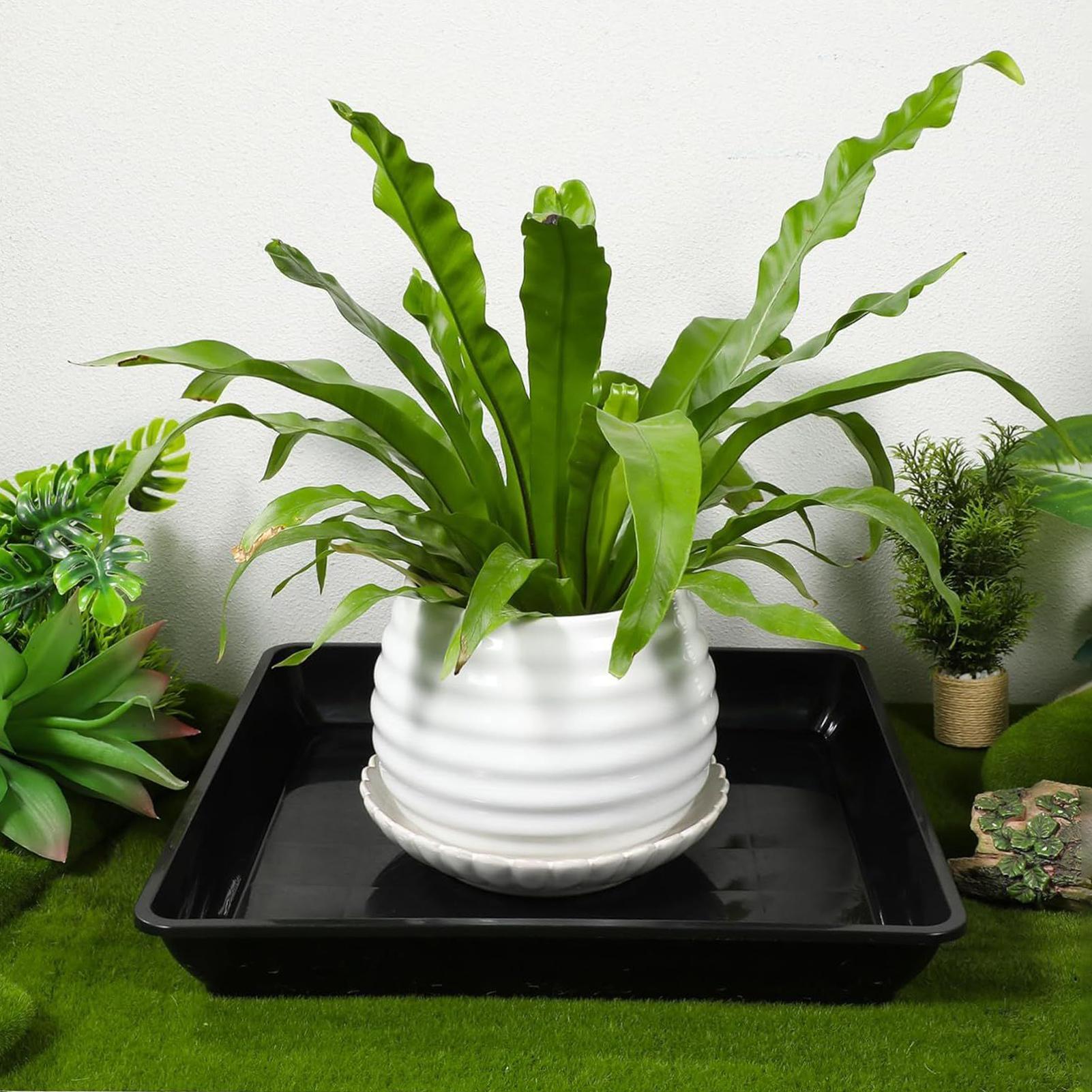 2 Pcs Flower Pot Base Thickene - Drip Tray Saucer avaliação e preço