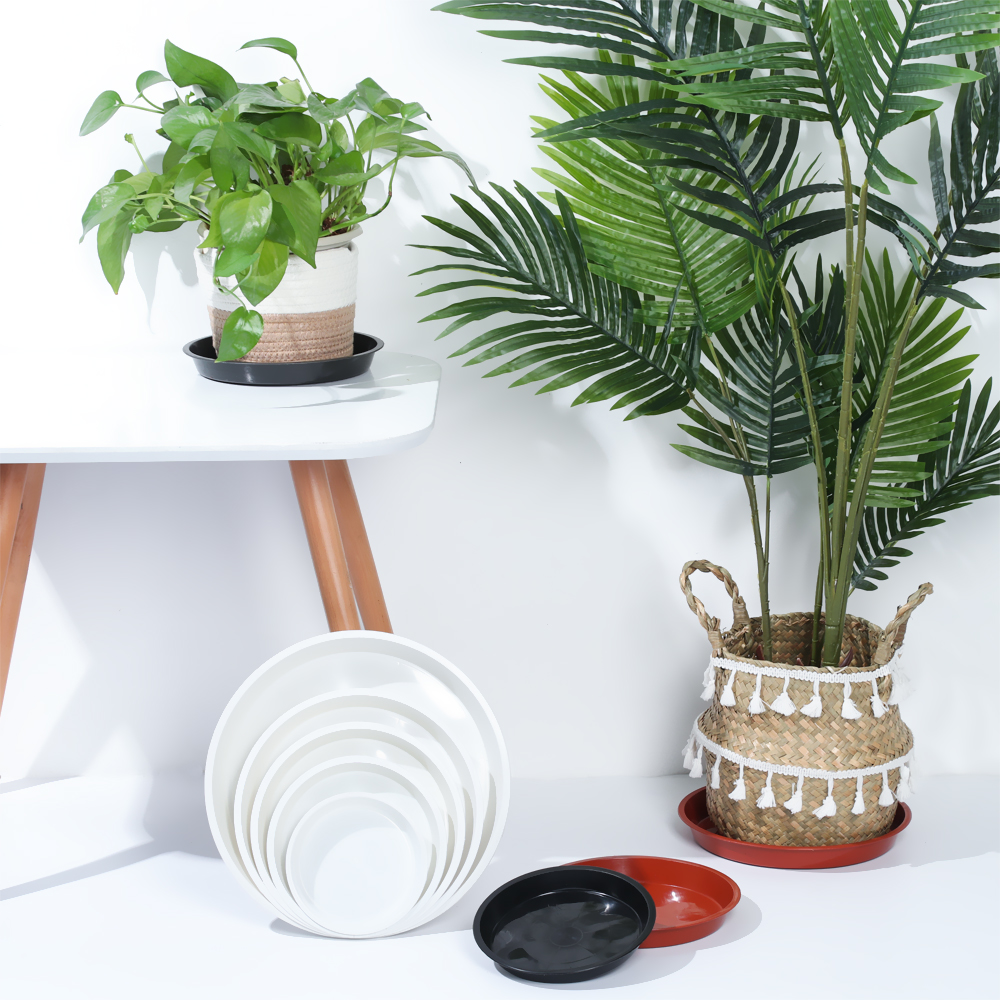 3Pcs Plant Saucer 4/6/7/8/10 i - Drip Tray Saucer avaliação e preço