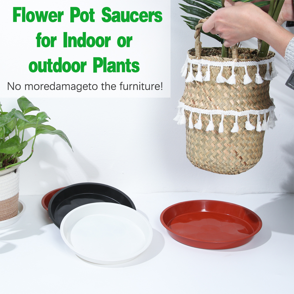 3Pcs Plant Saucer 4/6/7/8/10 i - Drip Tray Saucer avaliação e preço