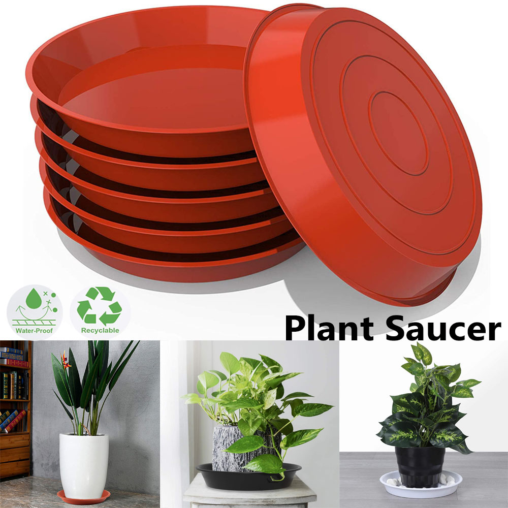 3Pcs Plant Saucer 4/6/7/8/10 i - Drip Tray Saucer avaliação e preço