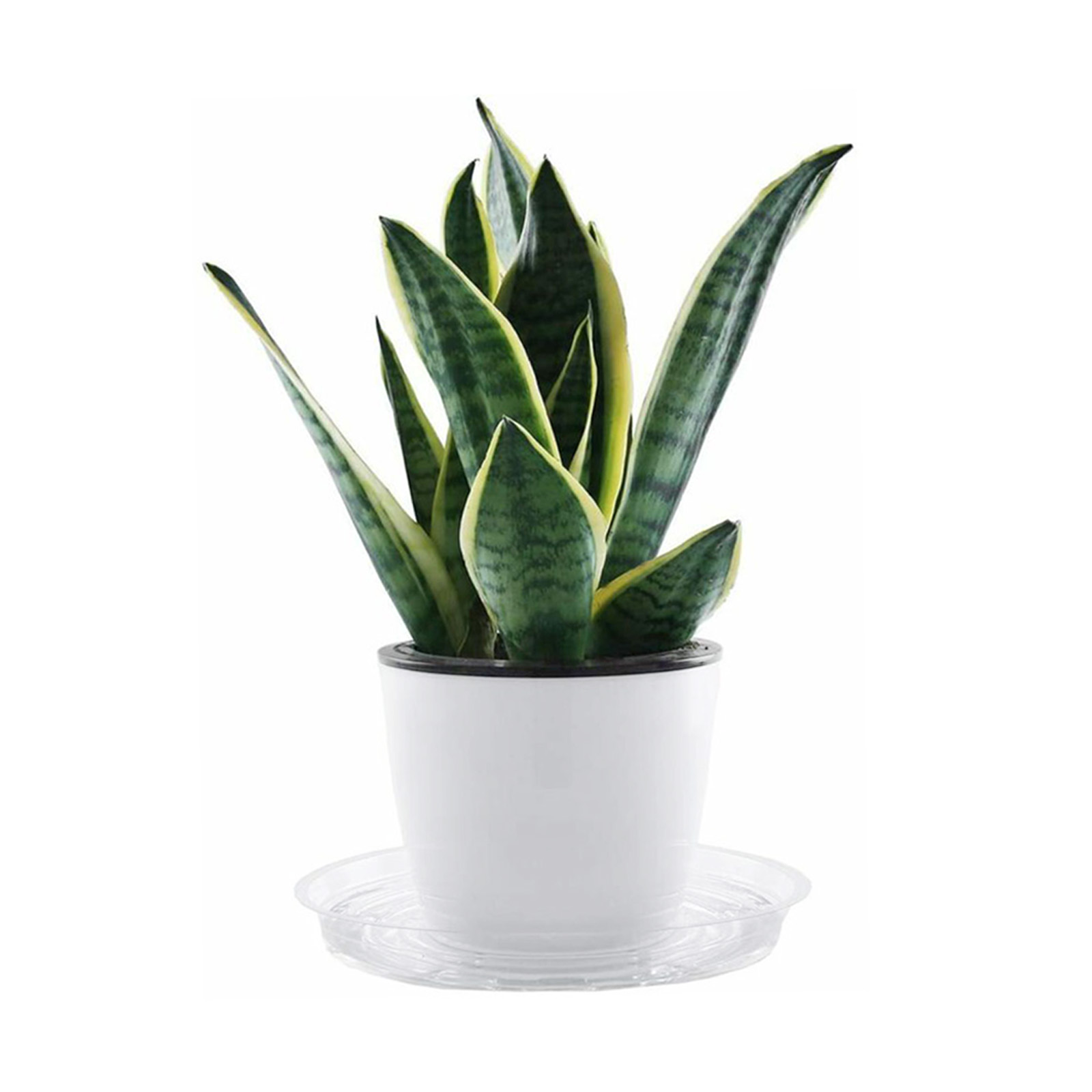 10pc Garden Plant Saucer Drip  - Drip Tray Saucer avaliação e preço