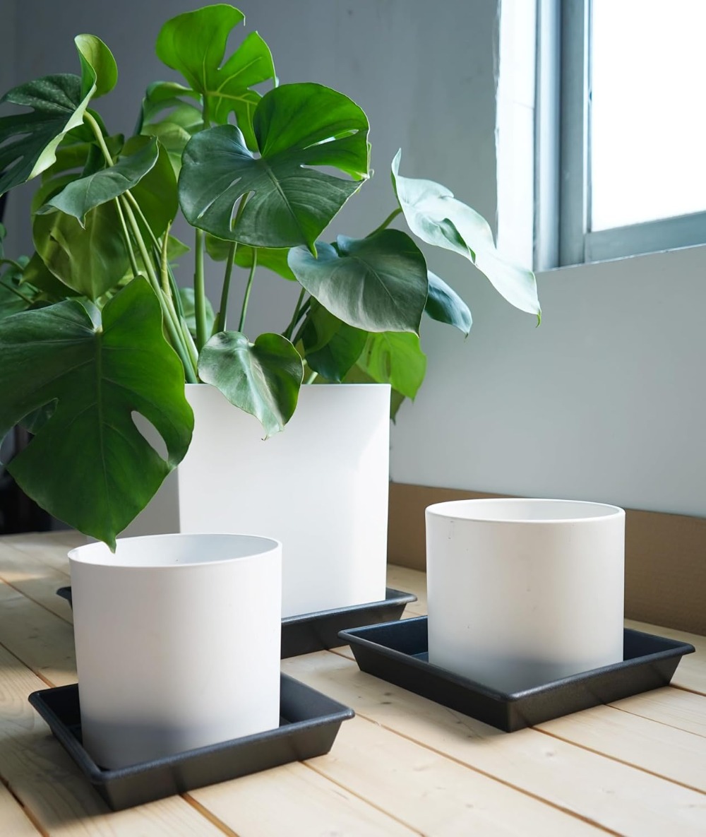 Square Plant Saucer 6 Inch 5 P - Drip Tray Saucer avaliação e preço