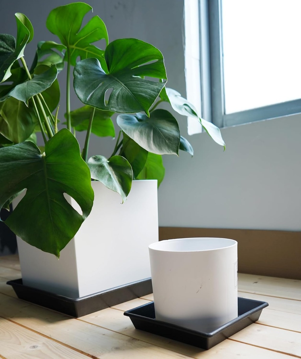 Square Plant Saucer 6 Inch 5 P - Drip Tray Saucer avaliação e preço