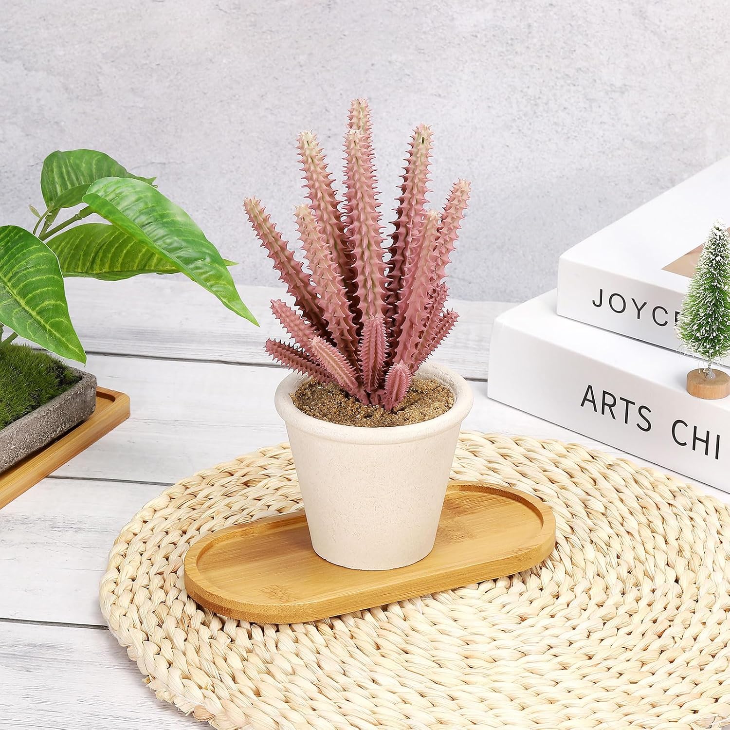 4pcs Bamboo Plant Saucer Oval  - Drip Tray Saucer avaliação e preço