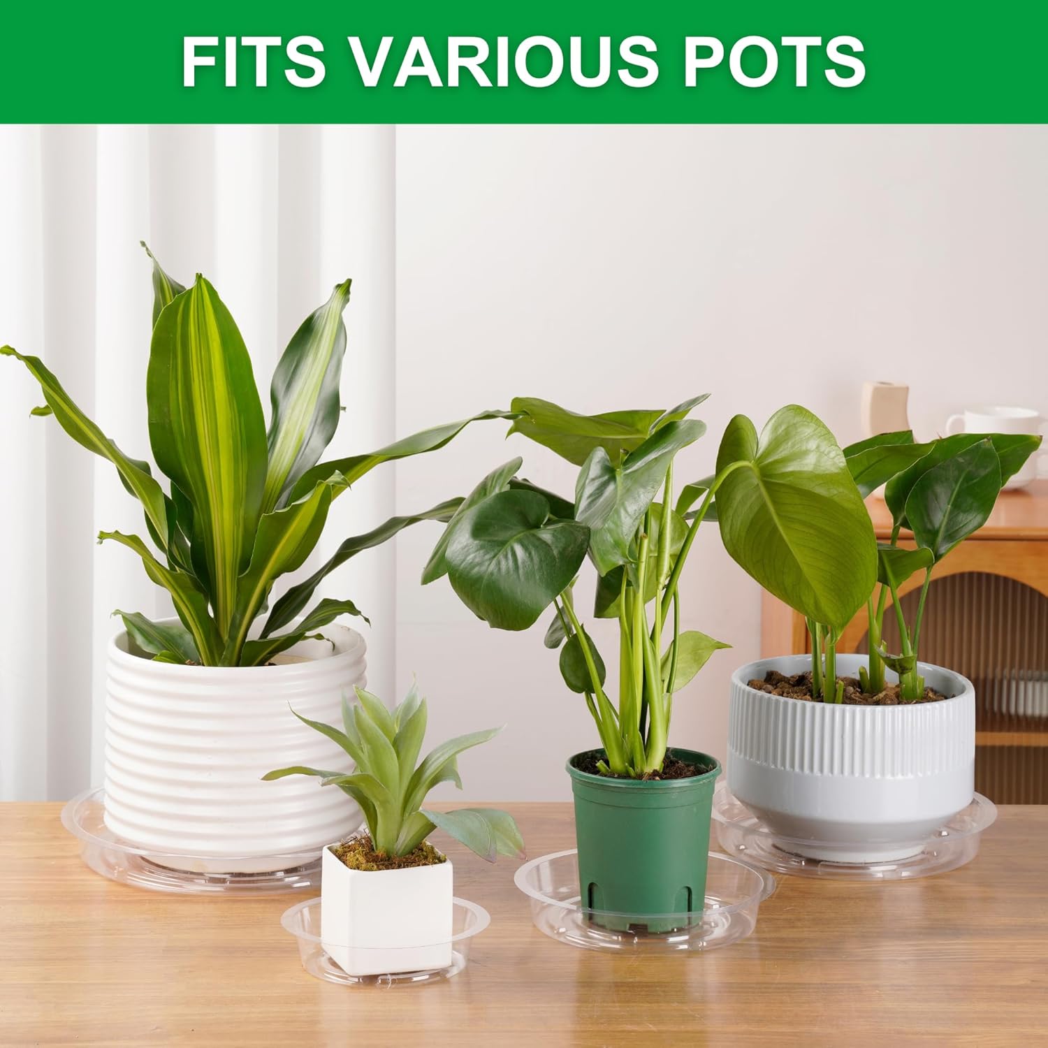24 Pack Clear Plant Saucers -  - Drip Tray Saucer avaliação e preço