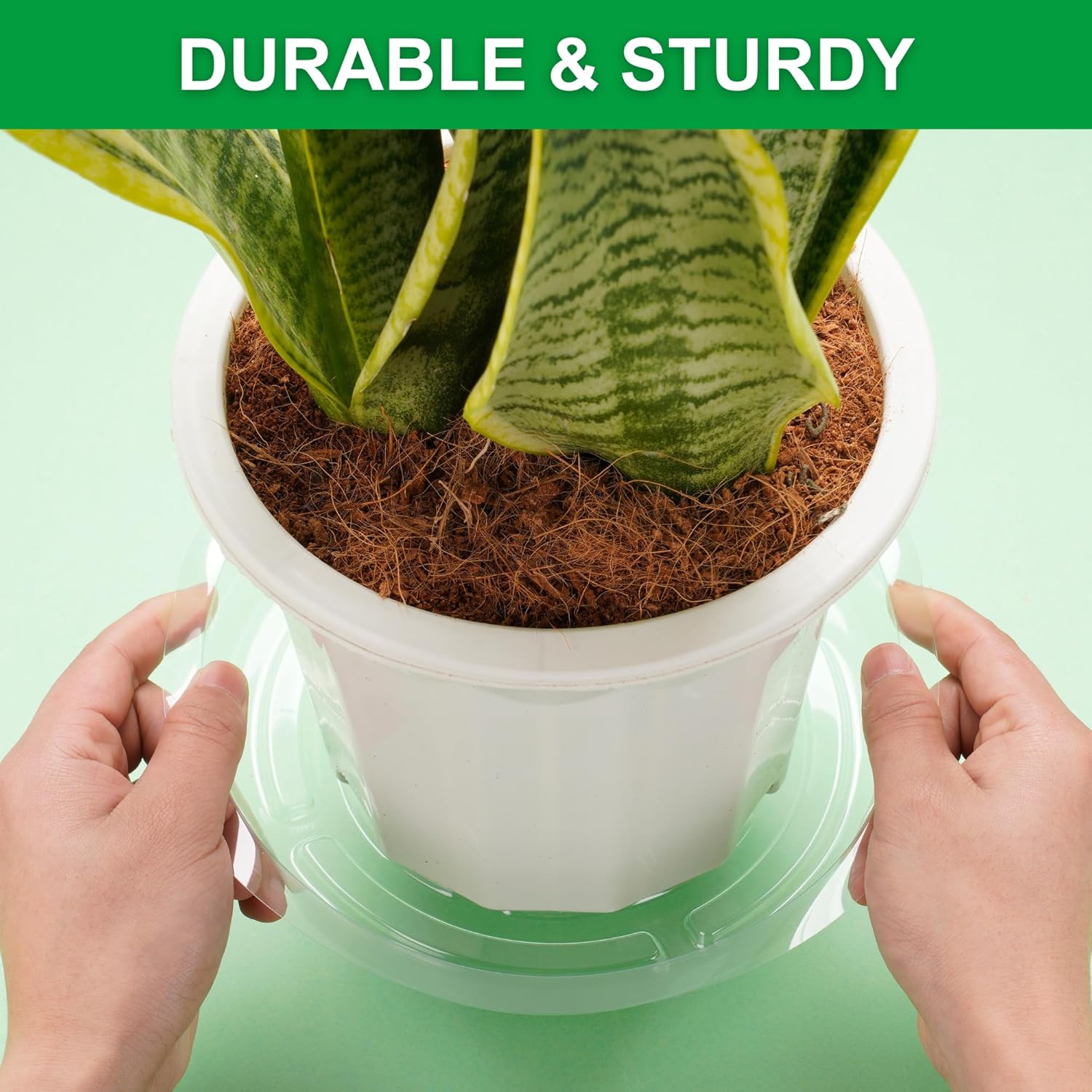 24 Pack Clear Plant Saucers -  - Drip Tray Saucer avaliação e preço