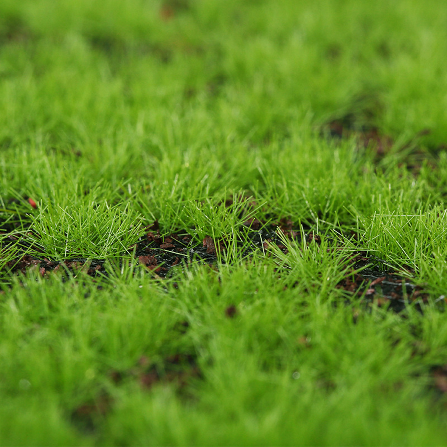 Artificial Moss Turf Simulatio - Landscape Bonsai Garden avaliação e preço